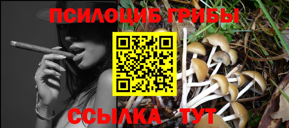 Азнакаево  Псилоцибиновые грибы Psilocybine cubensis  Вход с VPN 