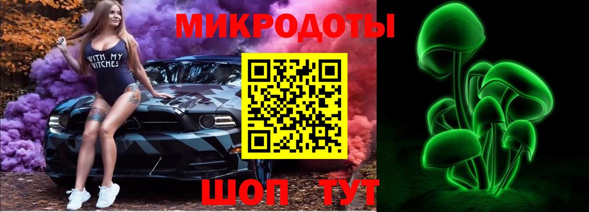 Галлюциногенные грибы Psilocybine cubensis Азнакаево